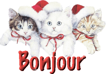 cadeau de brigitte