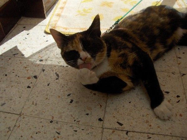 Septembre 2009